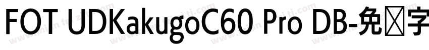 FOT UDKakugoC60 Pro DB字体转换